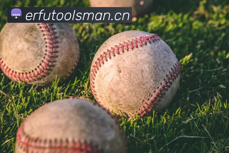 爱游戏(ayx)集团官方网站平台生态图